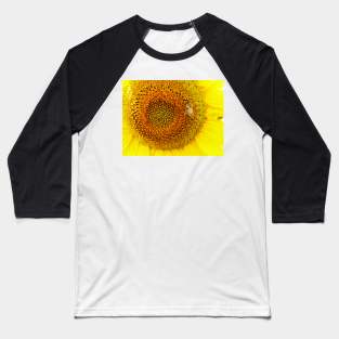 Sunflower Baseball T-Shirt